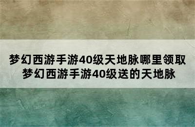 梦幻西游手游40级天地脉哪里领取 梦幻西游手游40级送的天地脉